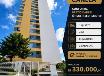 Apartamento · 45m² · 1 Quarto · 2 Vagas · Oportunidade Imperdível: Apartamento à Venda no Canela, Salvador-BA  1 Quarto  2 Garagens  R$ 330 mi