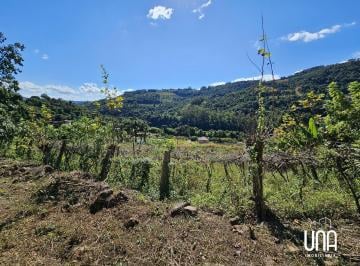 Imagem 1 · Chácara para venda em Centro, Monte Belo do Sul