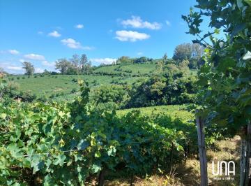 Imagem 1 · Chácara para venda em Merlot, Bento Gonçalves