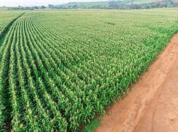 Imagem 1 · Fazenda para venda em Centro, Naviraí