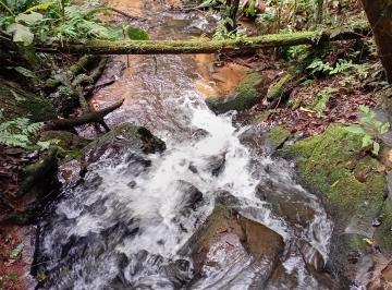 Terreno , Juquitiba · TERRENO RICO EM ÁGUA - PASSÍVEL DE FORMAR DUAS CHÁCARAS