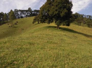 Rural · 181500m² · 5 Quartos · 4 Vagas · Sítio à venda em Joanópolis/SP | 7,5 alqueires | Nascentes | Duas casas | Excele