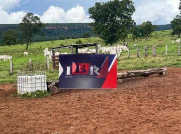 1d00e03641b8cb7c0962669155fec59de1a7121b · Fazenda em Pedro Gomes - MS