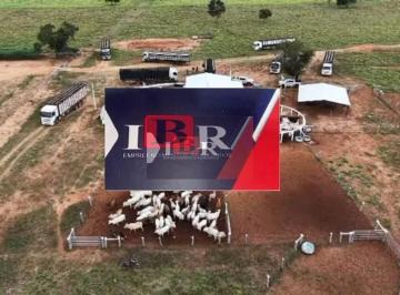 306b89ff64439c9cfc889a1a0967935a4c687764 · Fazenda em Pedro Gomes - MS