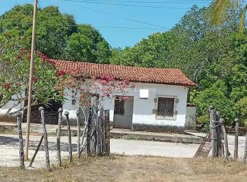 Imagem 4 · Fazenda para venda em Teresina