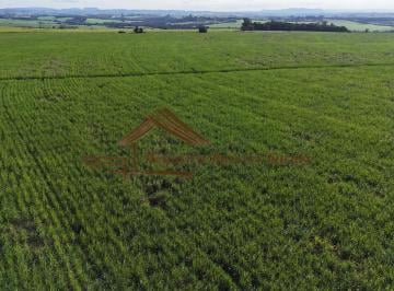 Rural , Tatuí · Sitio a venda com 24,5 alqueires na região de Tatuí-SP