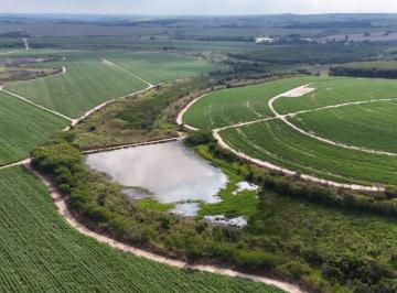 Foto 01 · *EXCELENTE FAZENDA A VENDA NA REGIÃO DE ITU - SP* ?? *LOCALIZAÇÃO PRIVILEGIADA PARA PLANO DE EXPANS