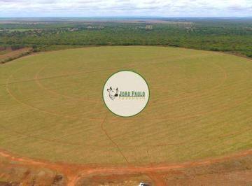 Rural , João Pinheiro · Fazenda a venda em Joao Pinheiro-MG - 201 Hectares - 95 hectares irrigados