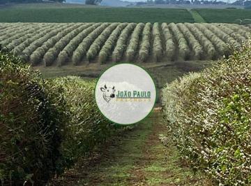 Rural , Patos de Minas · Fazenda a venda em Patos de Minas-MG - 265 Hectares - Plantando 140