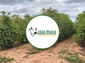 Rural , Patos de Minas · Fazenda a venda em Patos de Minas-MG - 405 Hectares - área de lavoura de café de 130 hectares