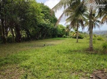 9b84ac1089d212441b4f1241c351723c0cb02019 · Sítio à Venda em Jabacó | 6 Hectares Escriturados | Excelente para Investimento