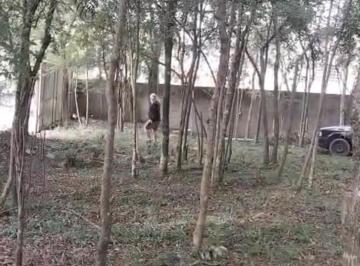 Terreno , Curitiba · TERRNO VAGO - ATUBA