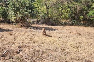 Terreno · 12m² · Lote à venda | 3.414m² | Loteamento Vale Verde - Valinhos/SP