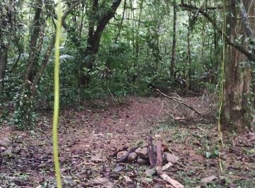 Terreno · 31642m² · TERRENO LOCALIZADO EM SÃO JÕAO DA GRACIOSA, APENA