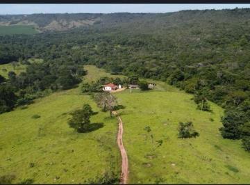 Rural de 4 quartos, Luziânia · Fazenda Santo Antonio de Boa Vista - 20 Alqueires - 99 Hectares R$ 2.200.000,00