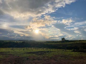 Rural de 3 quartos, Planaltina · Oportunidade FAZENDA SANTA HELENA — 136 HECTARES EM PLANALTINA-DF!