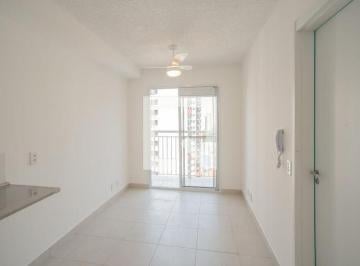 Apartamento · 30m² · 1 Quarto · Apartamento para Aluguel - Planalto Paulista, 1 Quarto, 30 m² - São Paulo