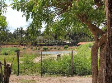 Rural · 10m² · 2 Quartos · Fazenda em Zona Rural, Alto Alegre do Maranhão/MA de 10m² 2 quartos à venda por R$ 4.950.000,00