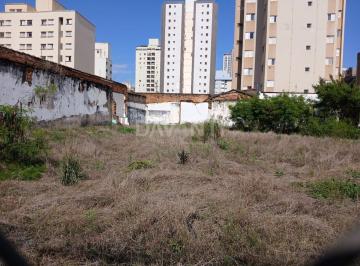 0 · Terreno à venda no bairro Bosque em Campinas na Davanti Imóveis.