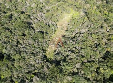 Imagem 1 · Sítio para venda em Guarapuava