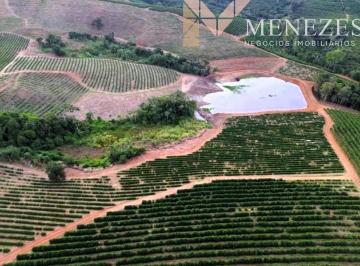 Foto 01 · FAZENDA CAFEEIRA À VENDA GUAXUPÉ MG