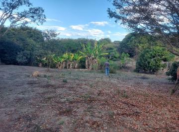 Terreno , Pedro Leopoldo · terreno quinta das palmeiras