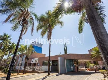 Comercial , Brasília · EXCLUSIVIDADE - QI 3 Ed Terracota - Prédio Inteiro - 1.216 m² - 15 Vagas