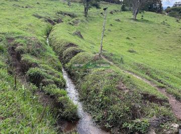 Rural · 140000m² · Rurais à venda - em Baependi