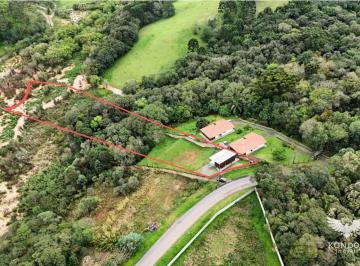 4467025_0.jpg · Terreno no BUTIATUVINHA com 4.912.82m²