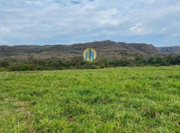 Rural · 1630m² · FAZENDA À VENDA EM DOIS IRMÃOS/MS – 1.630 HECTARES