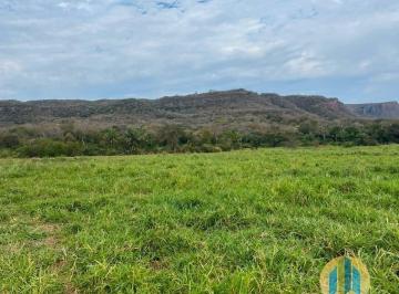 Rural · 1630m² · FAZENDA À VENDA EM DOIS IRMÃOS/MS – 1.630 HECTARES