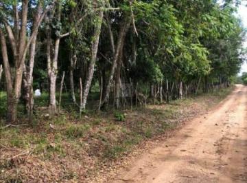 Rural · 18150m² · Terreno Rural / Sítio de 18.150 m² em Nossa Senhora do Socorro – SE