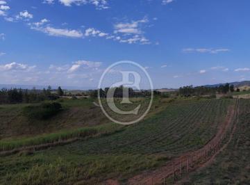 Rural · 84ha · 4 Quartos · 14 Vagas · Fazenda de 84,69 hectares à venda em Caçapava/SP — excelente topografia
