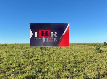 da6cecd5a6b3f7673c15cb402eb6850e1e455475 · Fazenda em Canarana MT