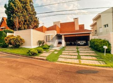 0 · casa para aluguel em Vila Brandina