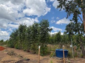 Imagem 1 · Terreno para venda em Patos de Minas