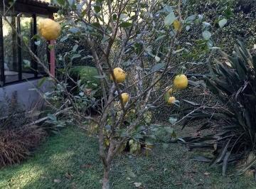 Imagem 1 · Sítio para venda em Braunes, Nova Friburgo