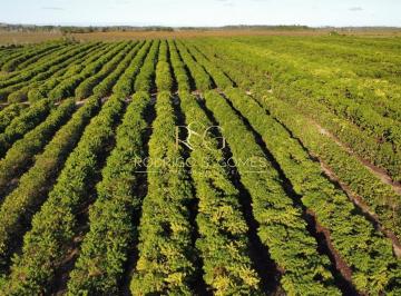Imagem 1 · Fazenda para venda em Centro, Santa Luzia