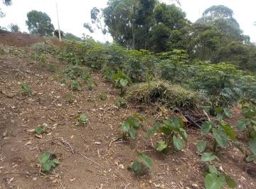 Imagem 1 · Terreno para venda em Centro, Nova Friburgo