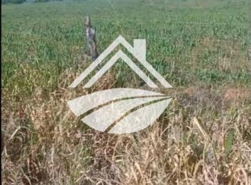 Imagem 1 · Fazenda para venda em Área Rural de Araguaína, Araguaína