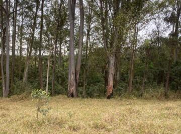 Terreno · 125m² · Terreno em Jardim Primavera, Itaquaquecetuba/SP de 0m² à venda por R$ 79.000,00