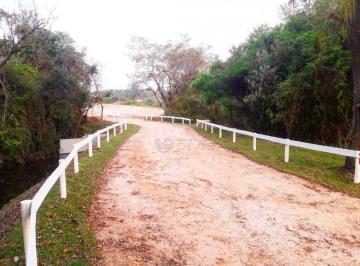 Terreno · 23150m² · Área em Benfica, Elias Fausto/SP de 0m² à venda por R$ 1.157.000,00