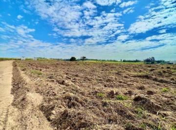 Terreno · 2000015m² · Área em Benfica, Elias Fausto/SP de 0m² à venda por R$ 1.000.000,00