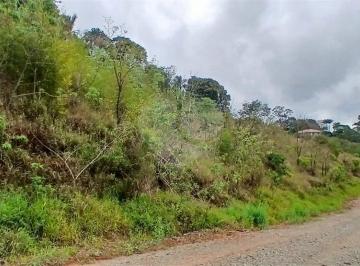 Terreno · 1000m² · Terreno à venda em Luiz fagundes - SP
