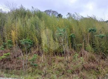 Terreno · 1000m² · Terreno à venda em Luiz fagundes - SP