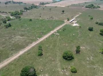 Rural · 1m² · 1 Quarto · Fazenda à venda em Terra Nova do Norte, Décima Agrovila, com 1 quarto, com 1100 m²