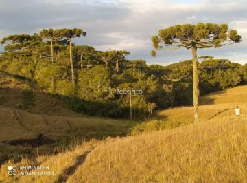 Rural · 1 Quarto · Sítio em Britadeira, São Francisco de Paula/RS de 0m² 1 quartos à venda por R$ 2.350.000,00