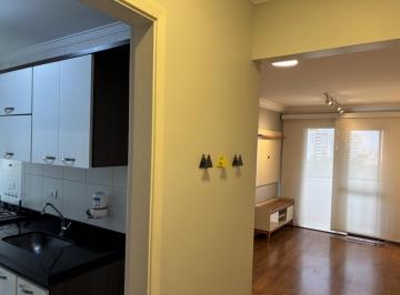 PHOTO_20261010_060144_000.jpeg · Versátil apartamento para locação em Lauzane Paulista com 3 quartos, sendo 1 suíte, 62.65m² - marlin