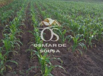 202604161941292924.jpeg · Sítio para Venda em Tatuí, Rural