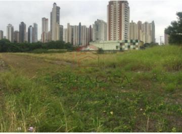 Terreno · 19069m² · EXCELANTE OPORTUNIDADE NO ANALIA FRANCO